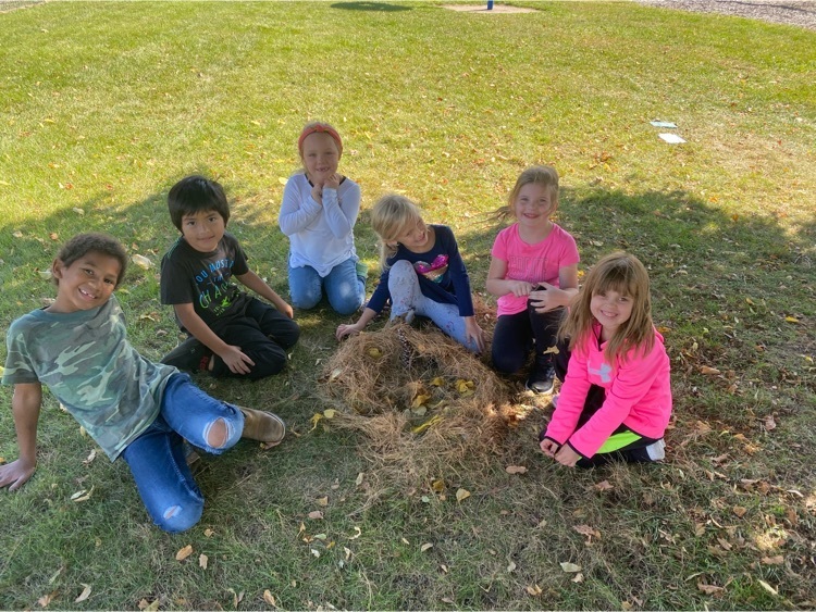 nest